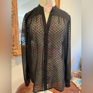 Black Sheer Blouse